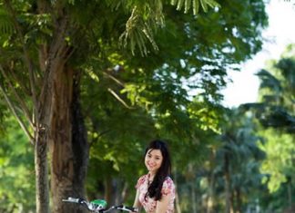 sua-chua-xe-dap-dien-xe-may-dien-Yen-Anh