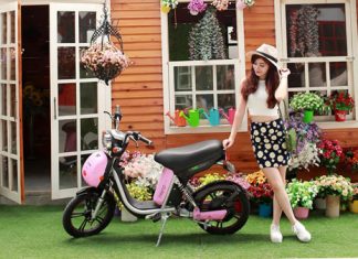 sua-chua-xe-dap-dien-xe-may-dien-Yen-Anh