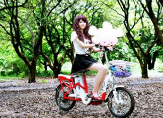 Sửa chữa xe đạp điện xe máy điện tại Long Biên 2 quận Long Biên sua-chua-xe-dap-dien-xe-may-dien-Yen-Anh