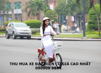 cho-thu-mua-xe-dap-dien-cu-ha-noi